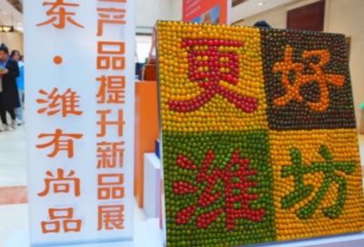 納澳“好品”亮相發(fā)展大會